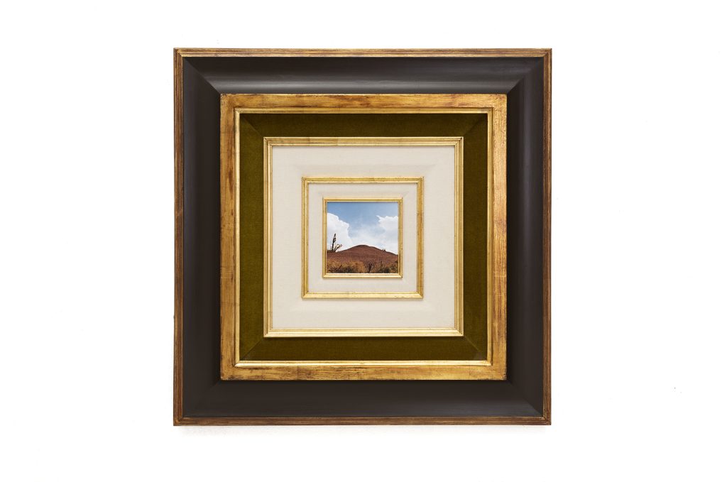 colección-permanente En plena naturaleza