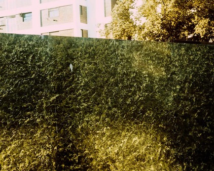 el-yeso-y-el-marmol-Placa-12.jpeg.resize-33